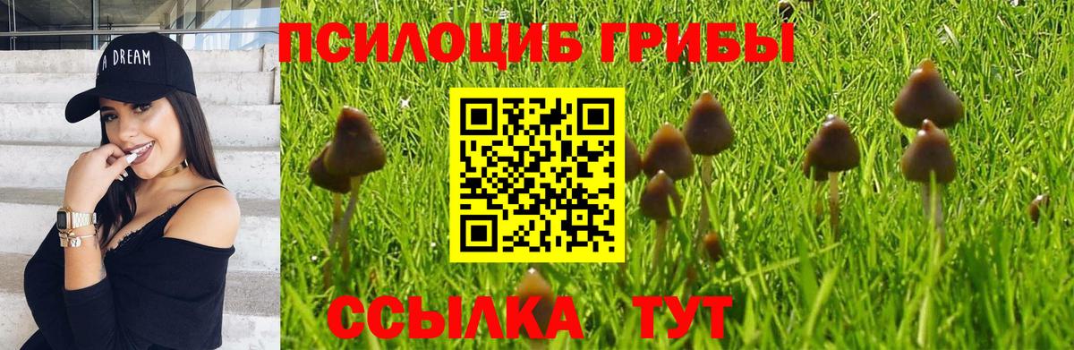 Галлюциногенные грибы MAGIC MUSHROOMS  Вход с VPN  Галлюциногенные грибы ЛСД  Белгород 